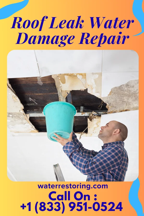 Roof Leak Water Damage Repair in Copper Hill, AZ